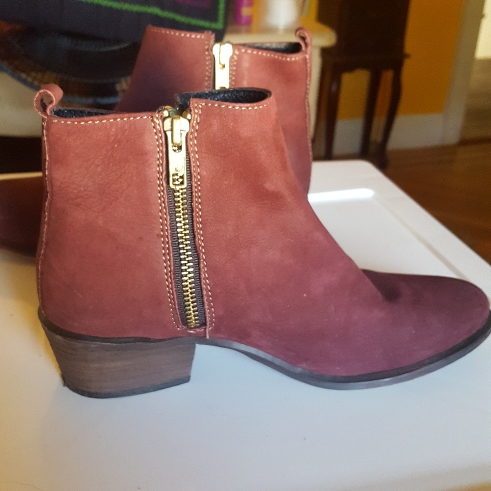 Steve Madden Burgandy Booties